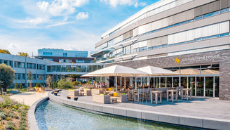 Allgemeinwissen und mehr